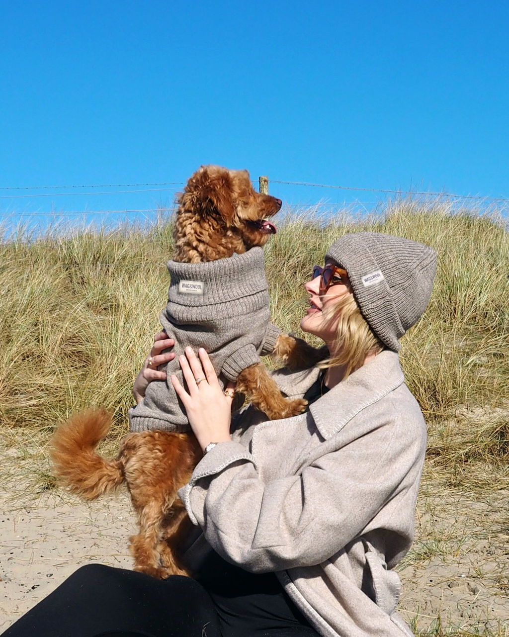 Oatmeal British Wool Dog Jumper