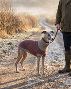 Whippet on a frosty country lane wearing the burgundy merino lambswool dog jumper