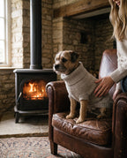 Terrier on a leather armchair by a wood burner wearing the oatmeal British wool dog jumper