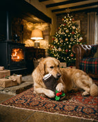 Golden retriever by the fire on Christmas Eve chewing the Yuletide log dog toy